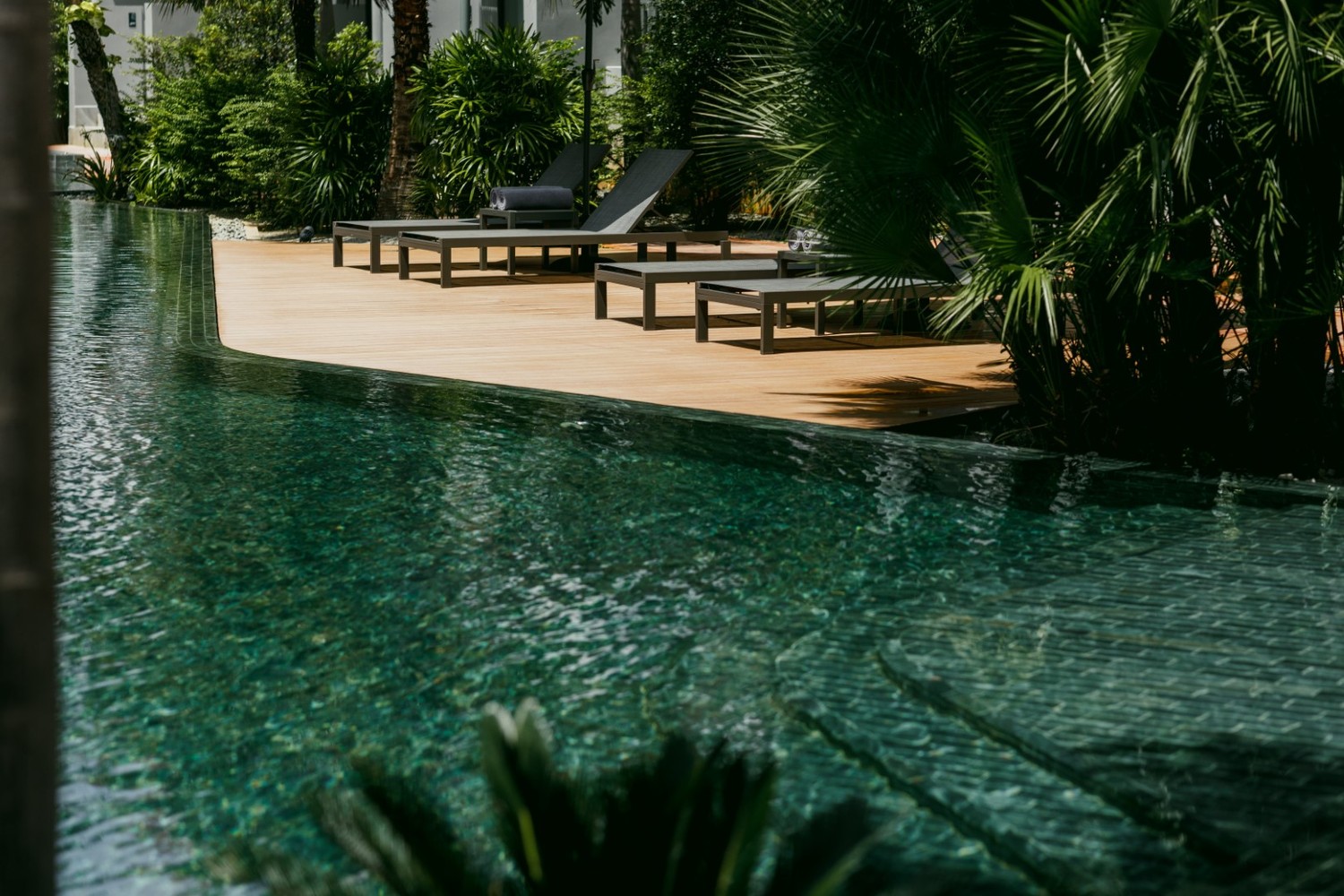 Bio Swimming Pool photo