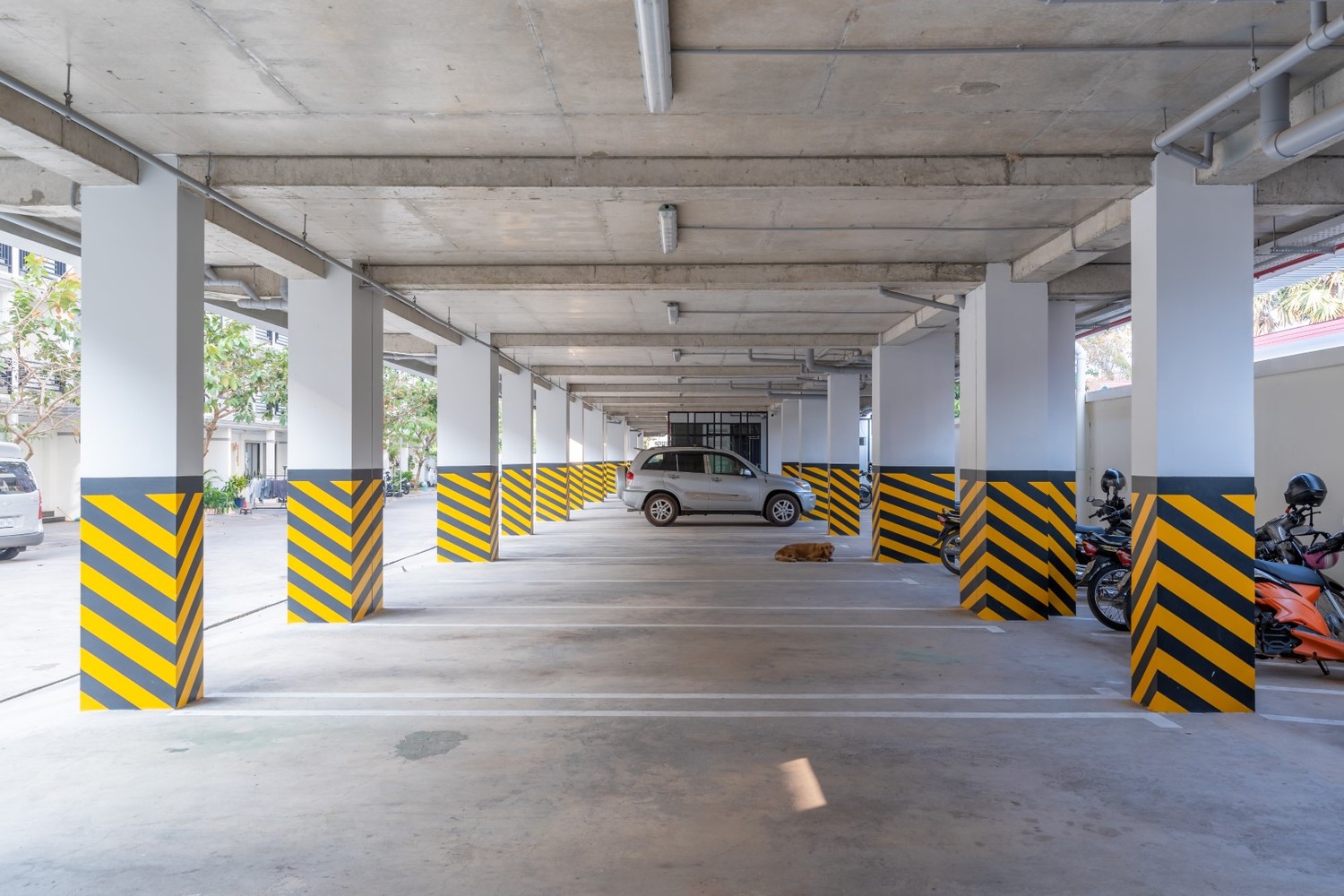 Spacious Sheltered Carpark photo